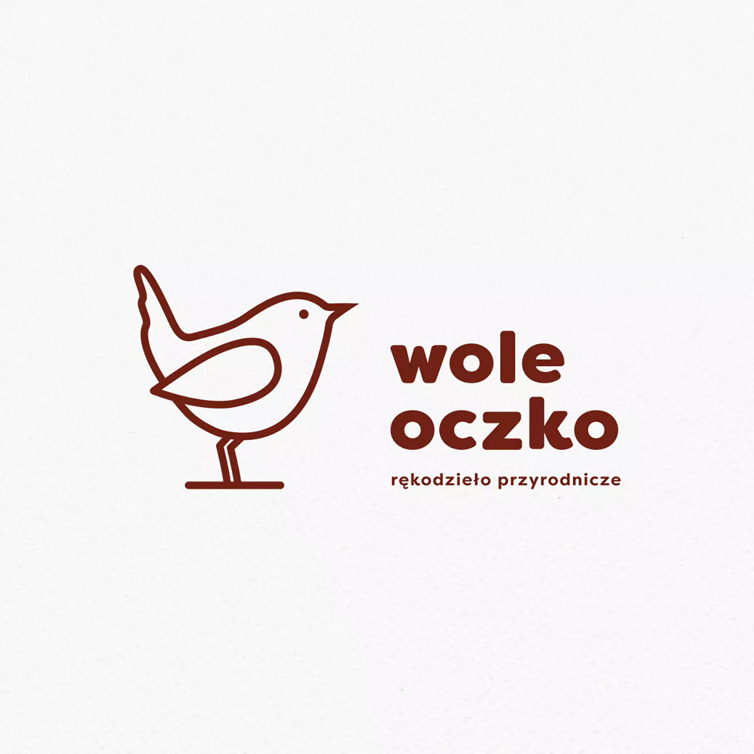 Logo w poziomej orientacji dla Wole Oczko, projekt Gosia Gadula Studio Powidoki